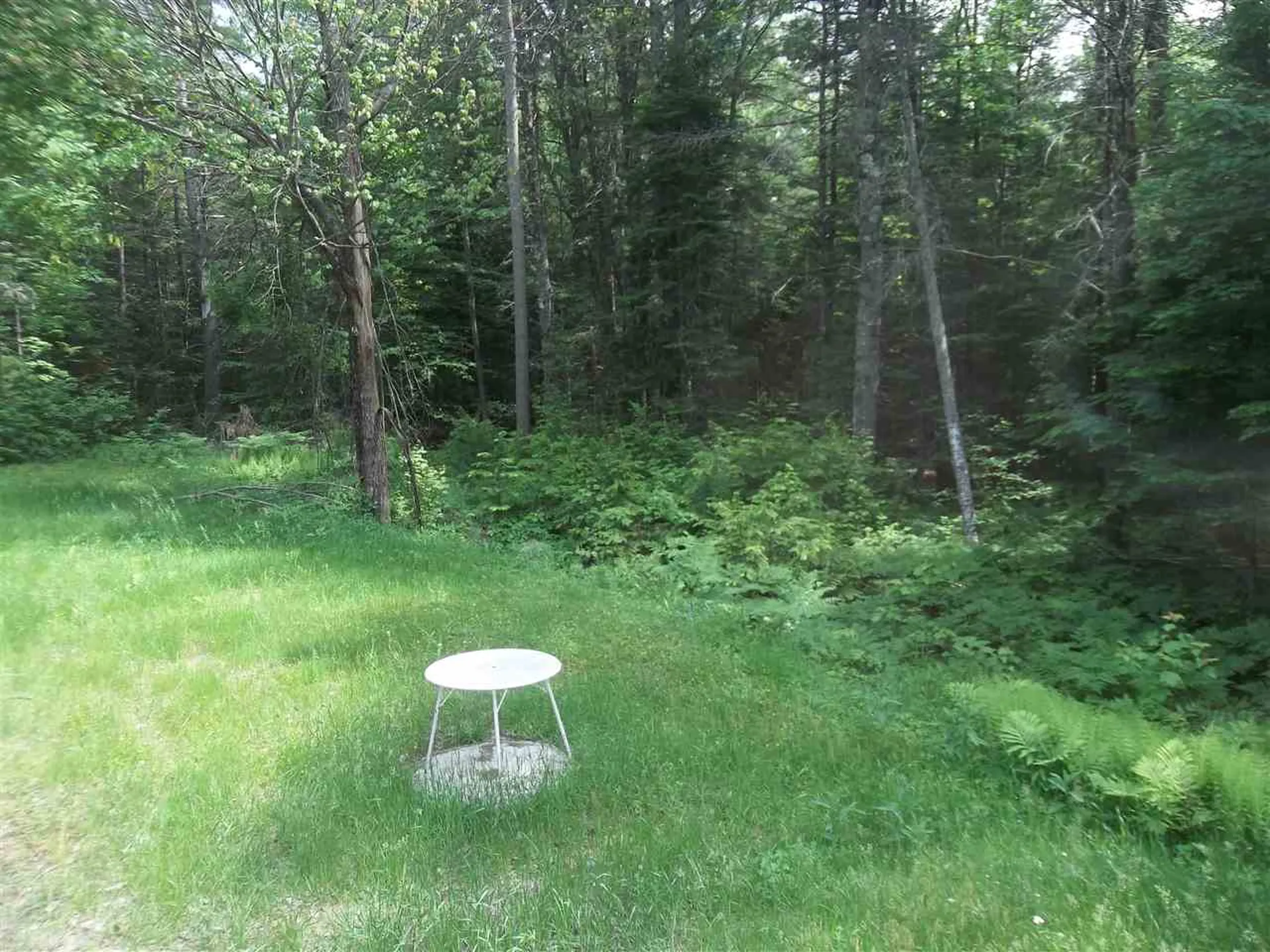 146 Wilkinson Swamp Road Effingham NH 03882
