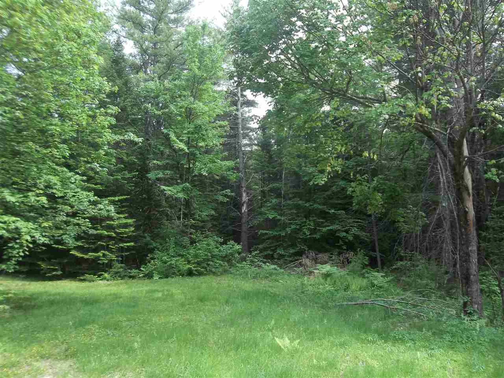146 Wilkinson Swamp Road Effingham NH 03882