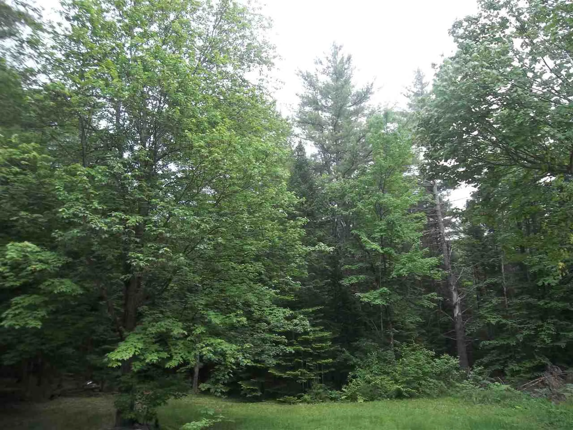 146 Wilkinson Swamp Road Effingham NH 03882