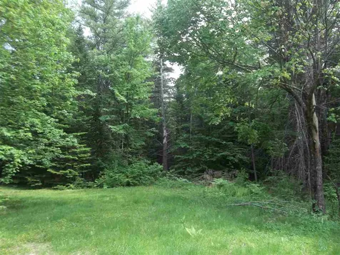 146 Wilkinson Swamp Road Effingham NH 03882