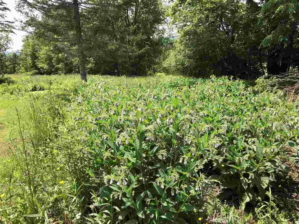 299 Cross Road Waitsfield VT 05673