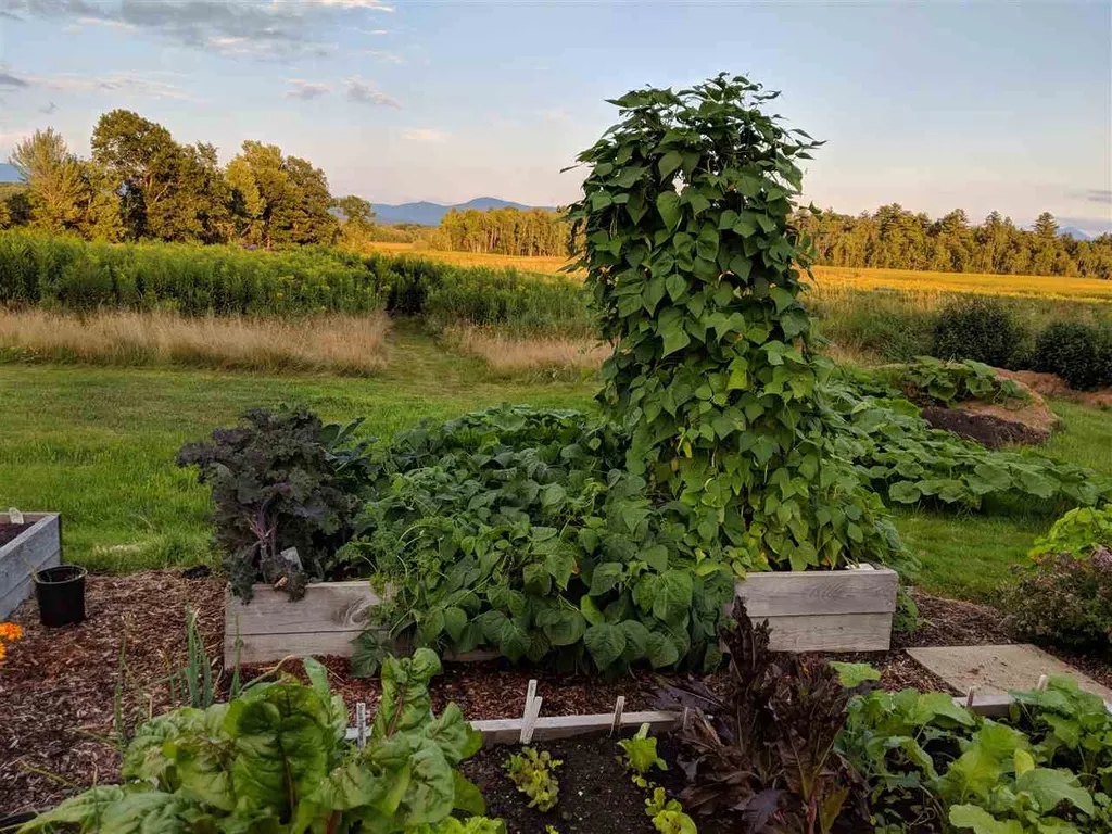 11 Thistle Lane Essex VT 05452