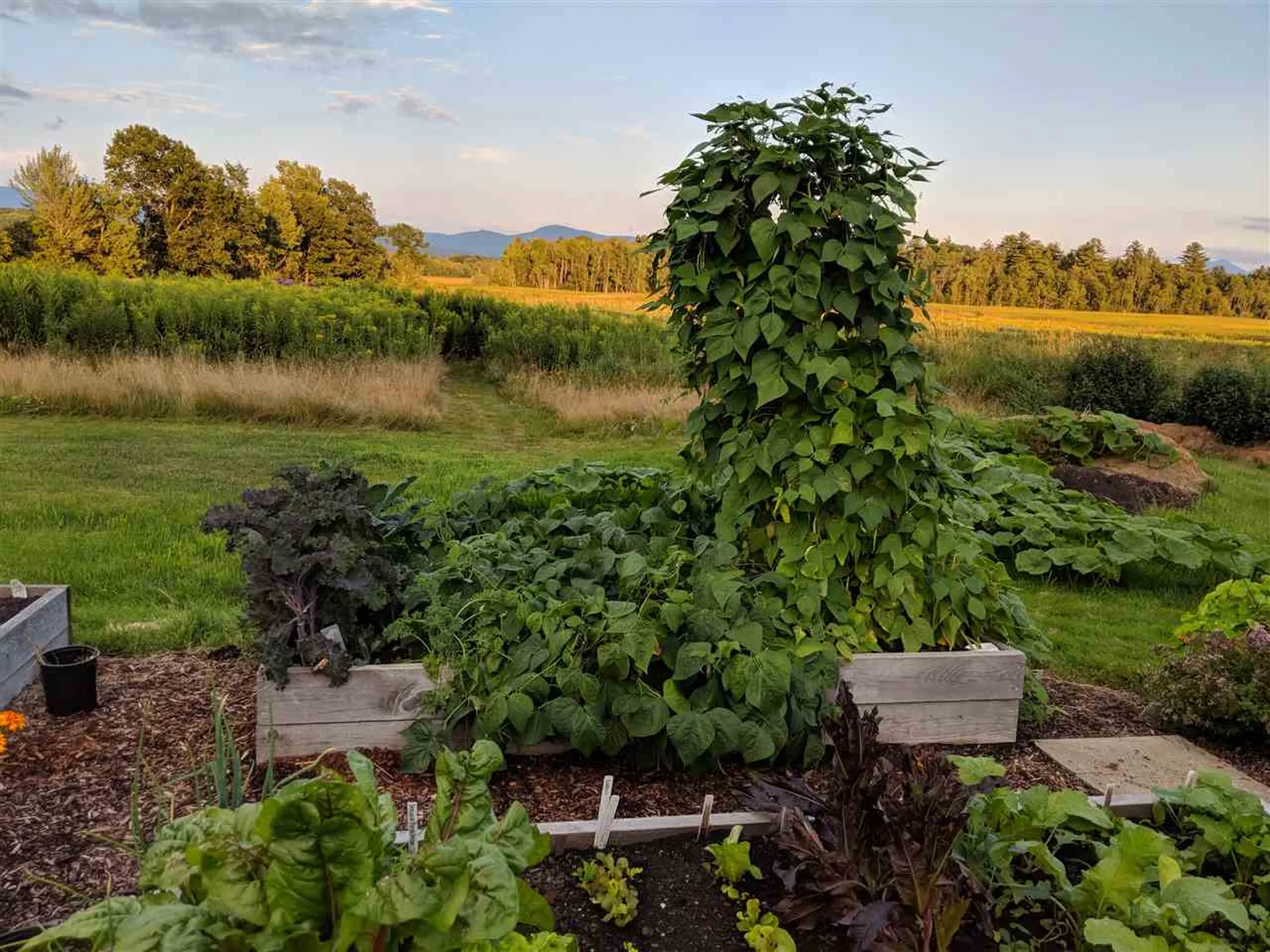 11 Thistle Lane Essex VT 05452