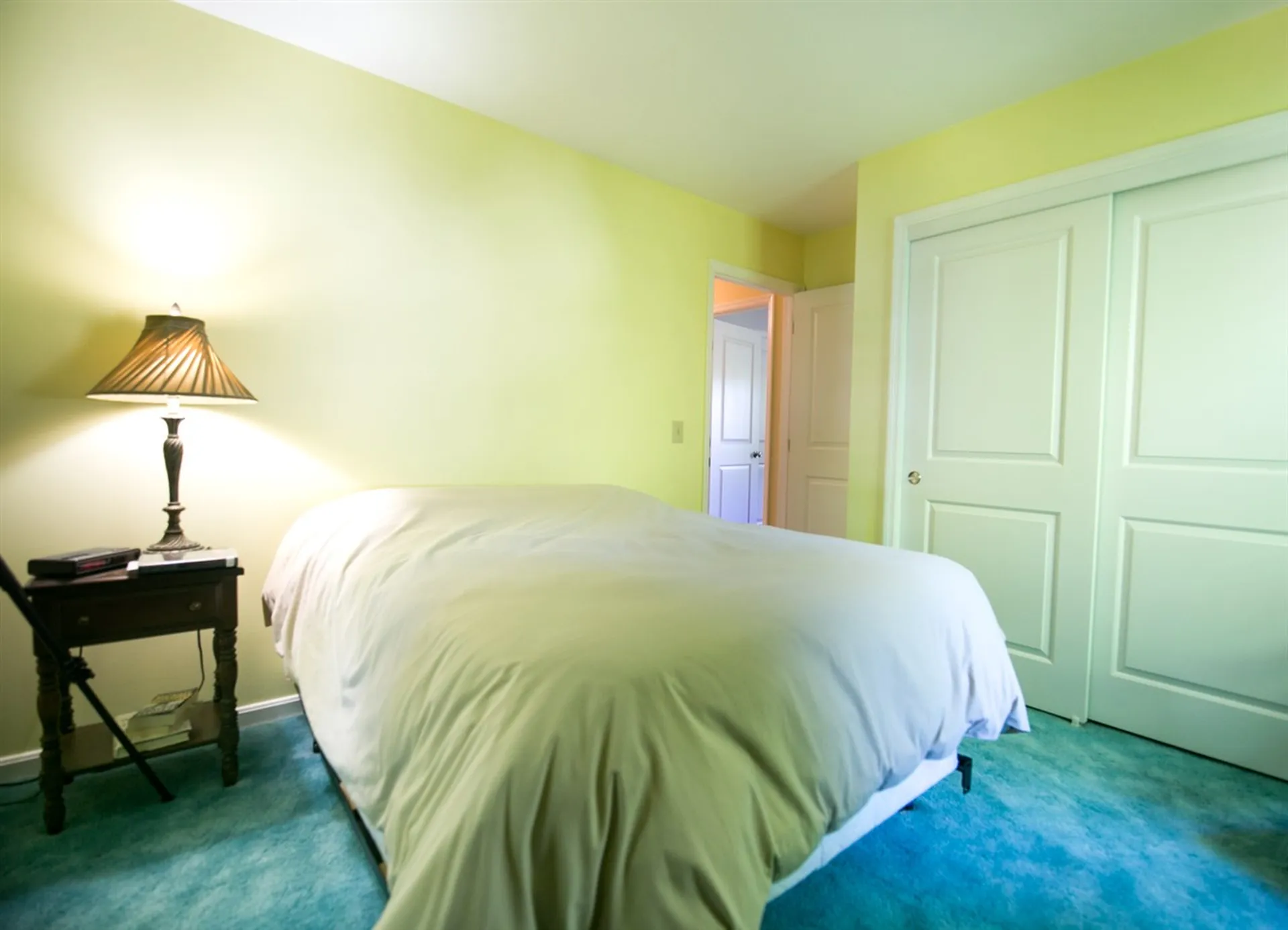 213 Norway Drive Colchester VT 05446