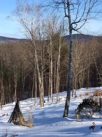56 Reynolds Drive Peterborough NH 03458