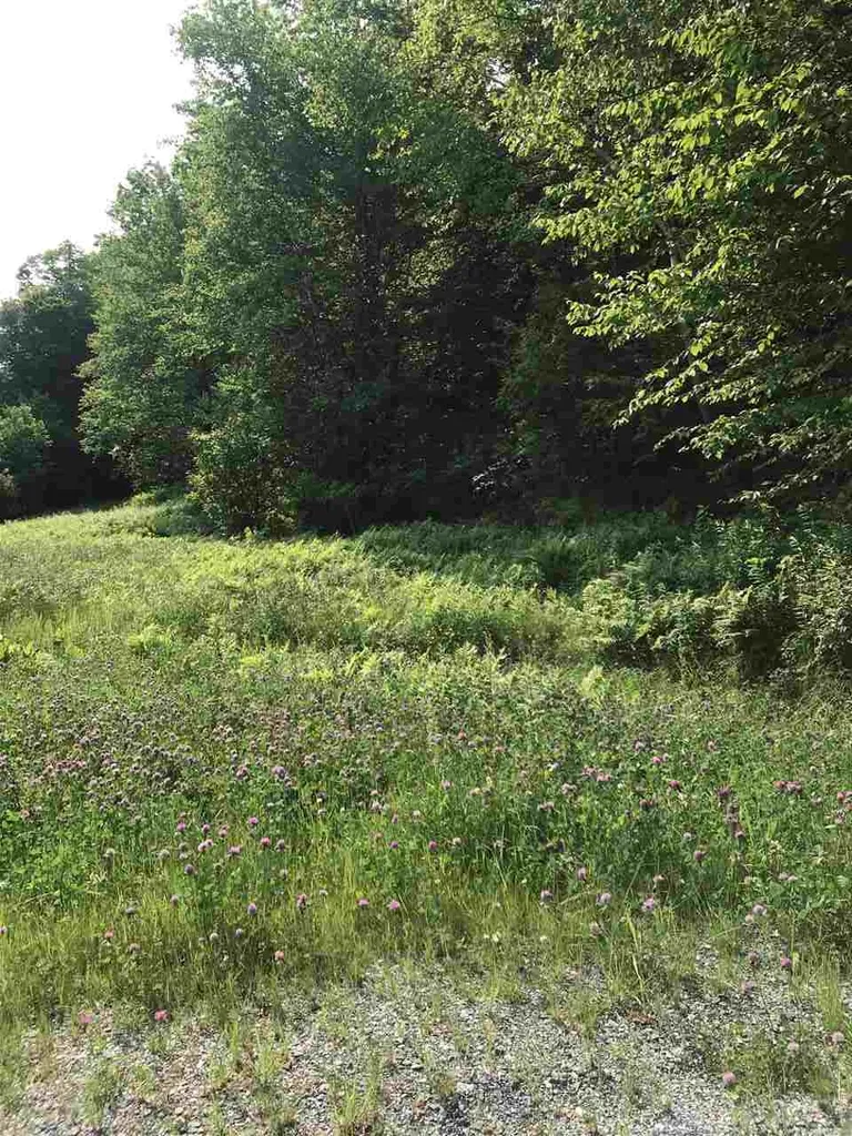7748 Route 100 Readsboro VT 05350