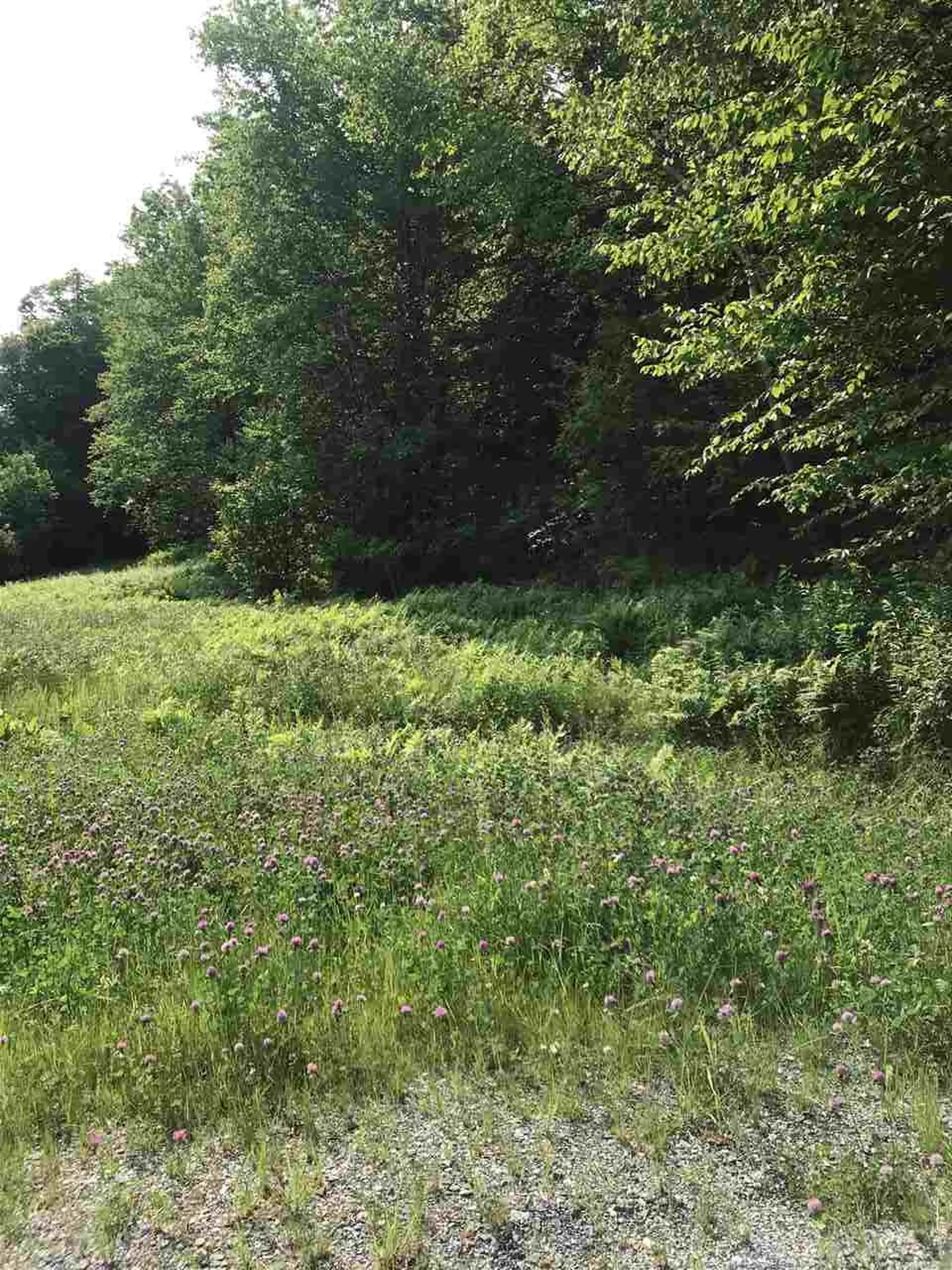7748 Route 100 Readsboro VT 05350