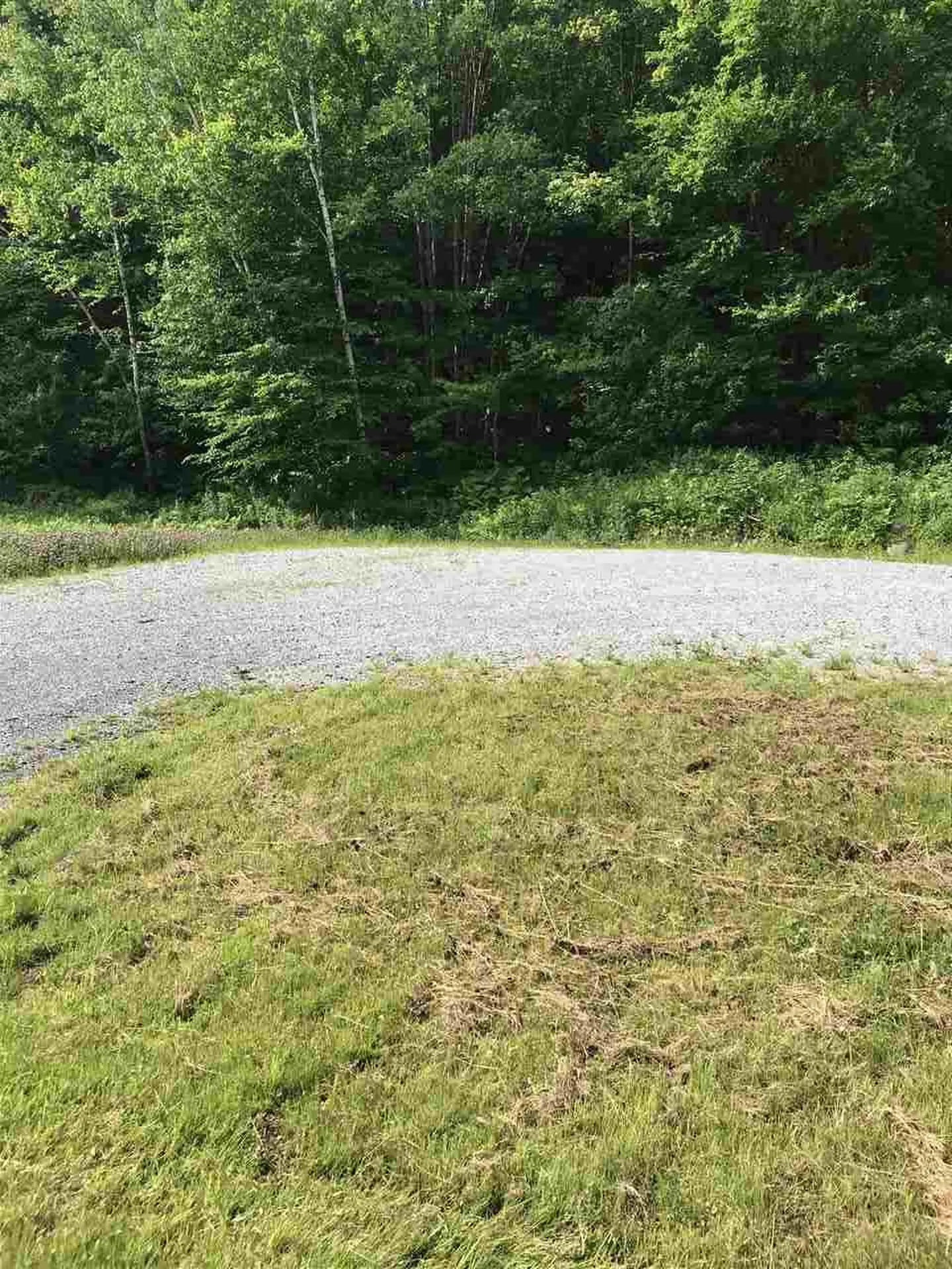 7748 Route 100 Readsboro VT 05350