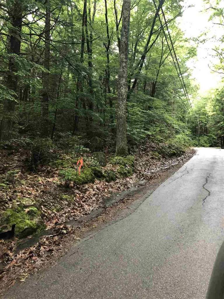 Tbd Hemlock Lane Barrington NH 03825
