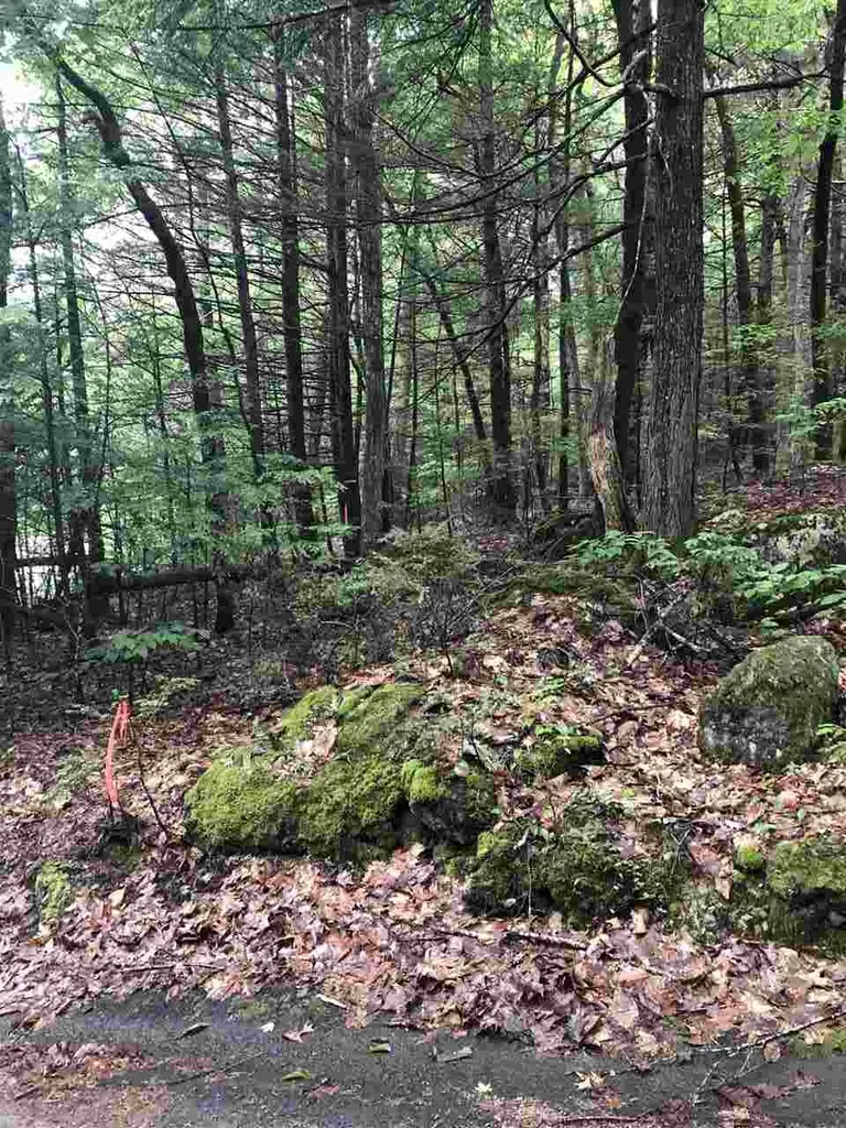 Tbd Hemlock Lane Barrington NH 03825