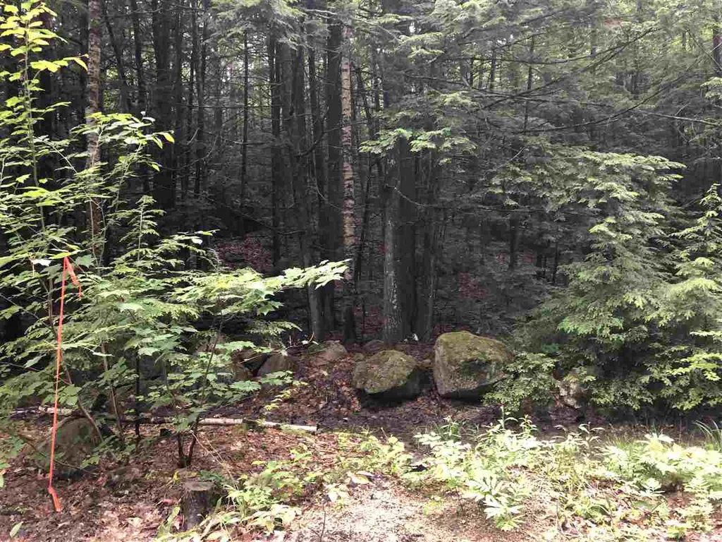 Tbd Hemlock Lane Barrington NH 03825