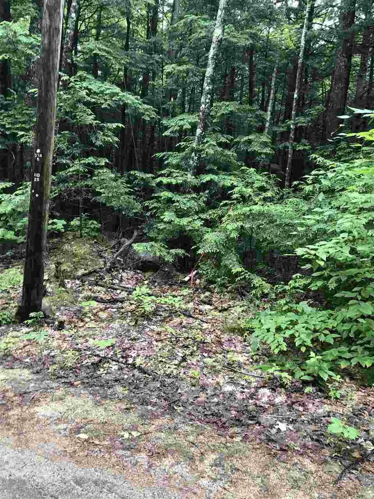 Tbd Hemlock Lane Barrington NH 03825