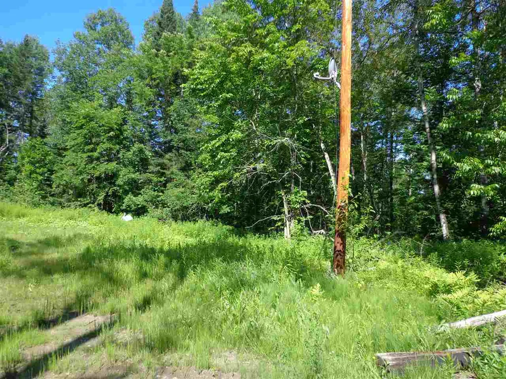 40 Patridge Road Concord VT 05824-9440