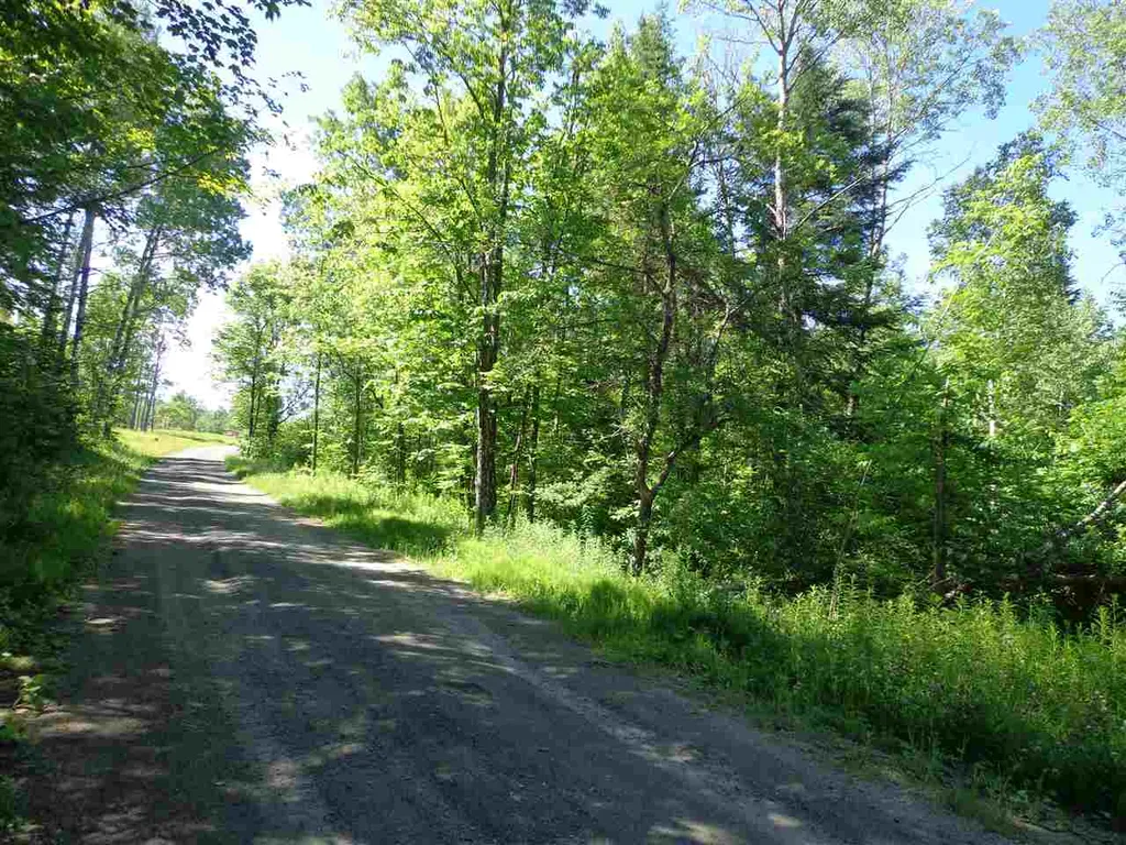 40 Patridge Road Concord VT 05824-9440