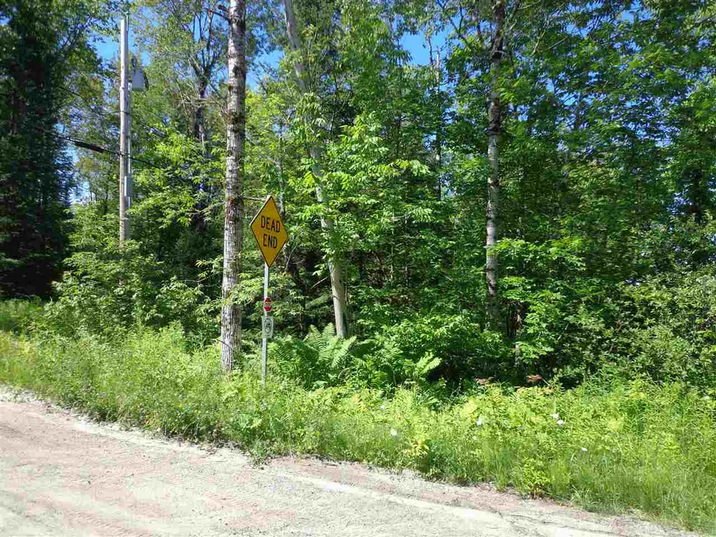 40 Patridge Road Concord VT 05824-9440
