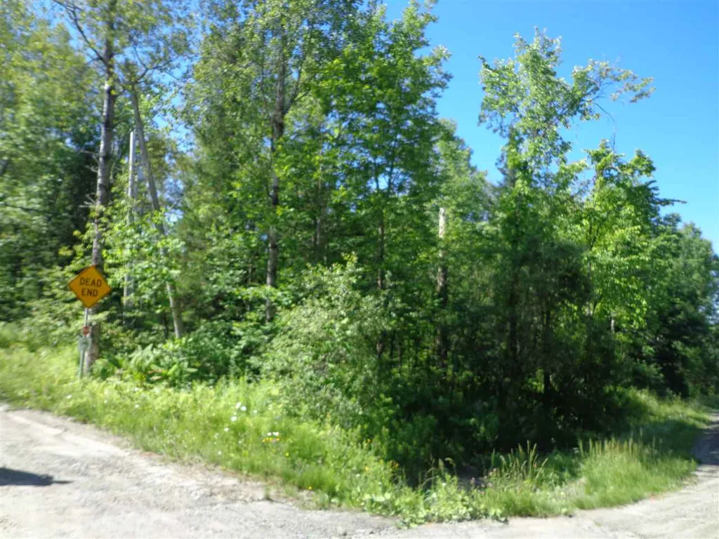 40 Patridge Road Concord VT 05824-9440