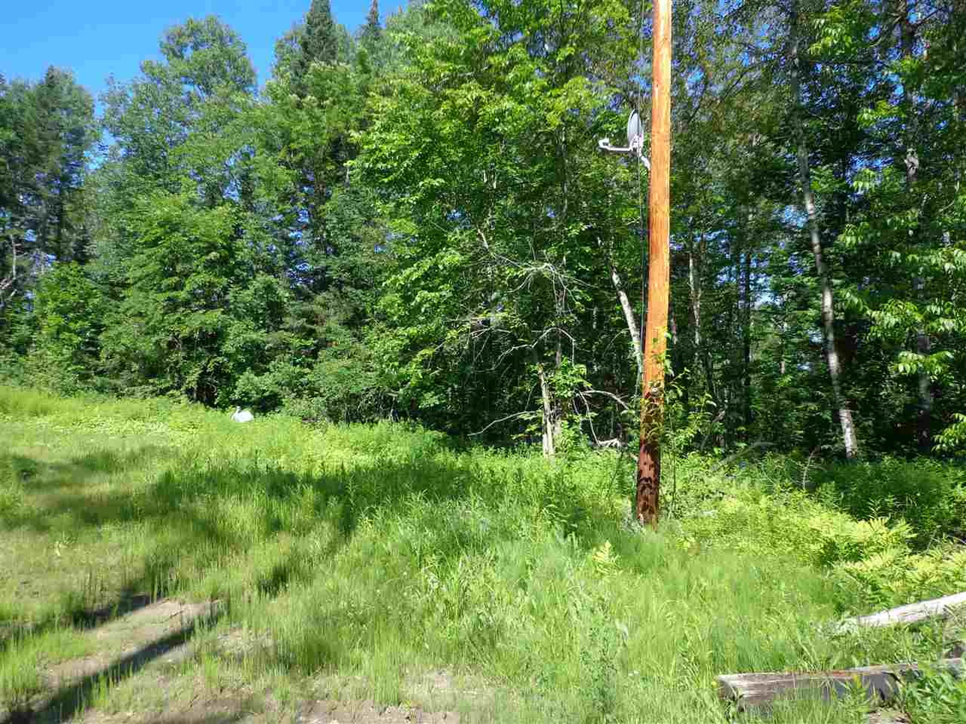 40 Patridge Road Concord VT 05824-9440