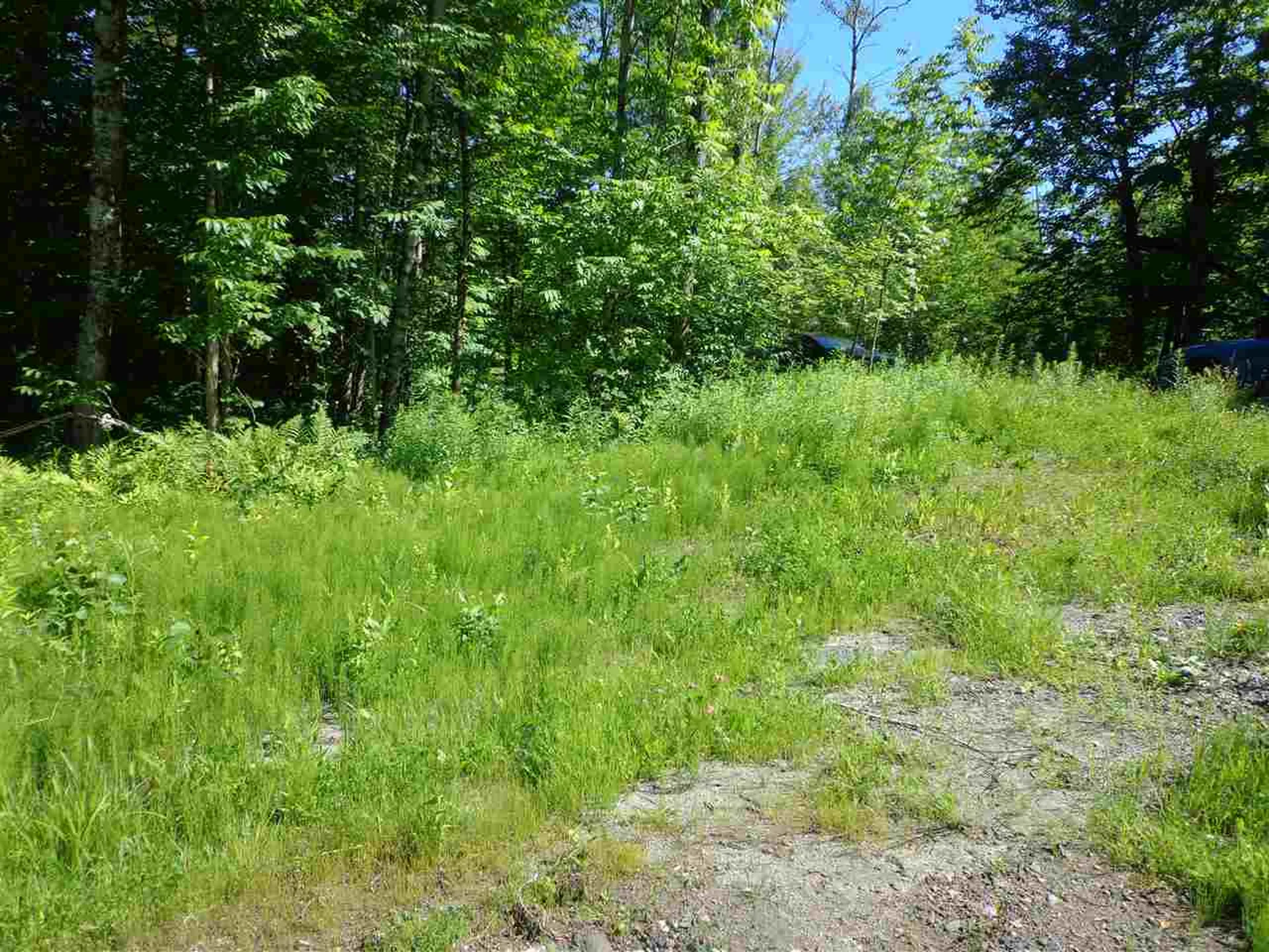 40 Patridge Road Concord VT 05824-9440