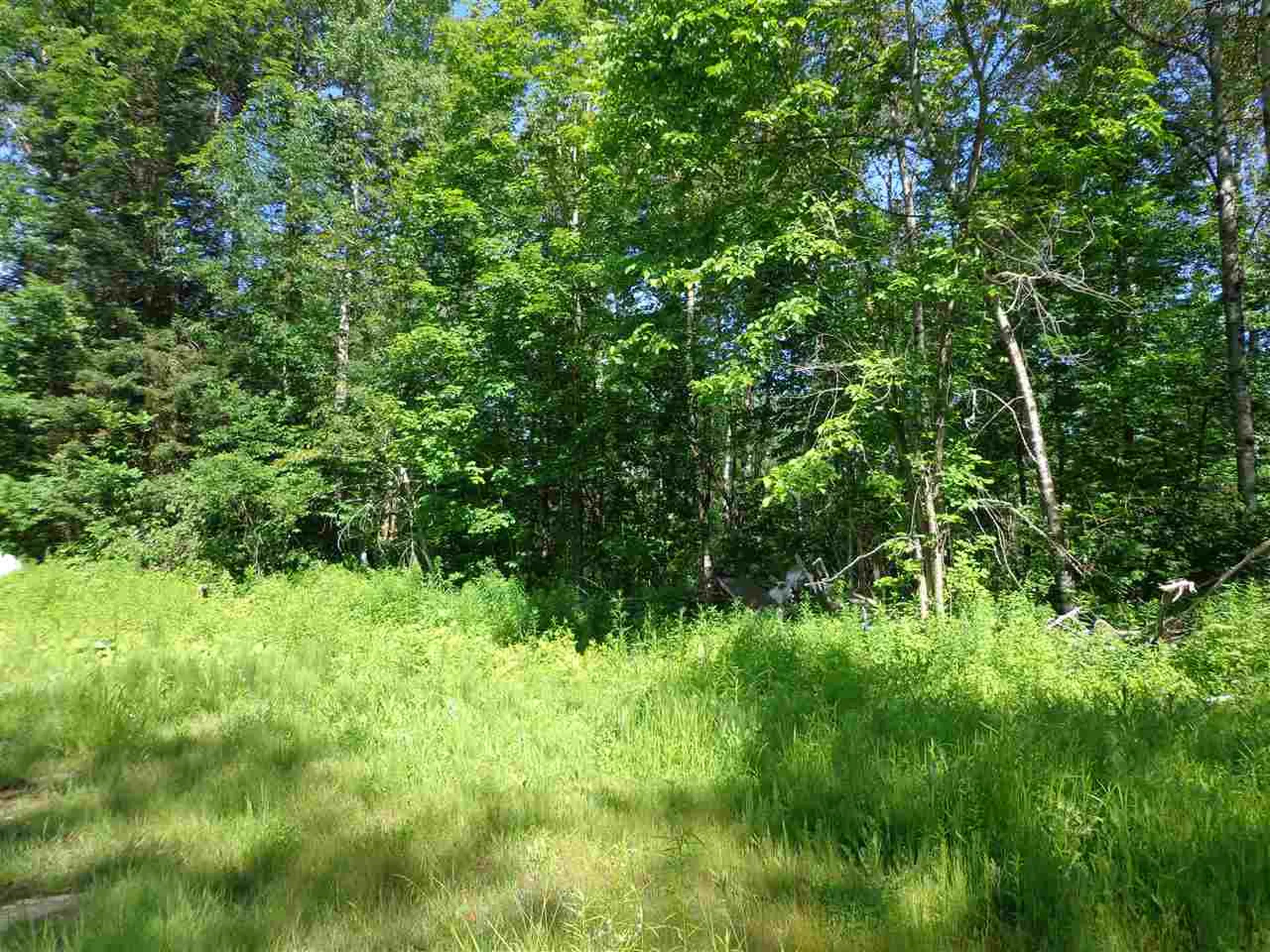 40 Patridge Road Concord VT 05824-9440