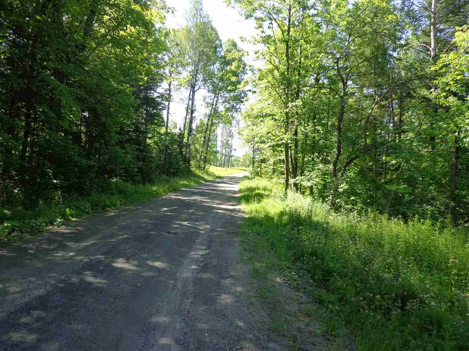40 Patridge Road Concord VT 05824-9440