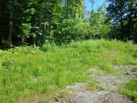 40 Patridge Road Concord VT 05824-9440