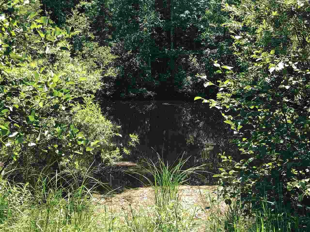 145 Faraway Road Dalton NH 03598