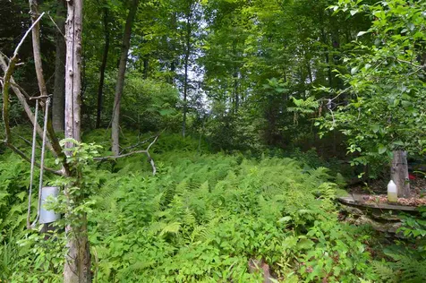 46 Marlboro Road Troy NH 03465