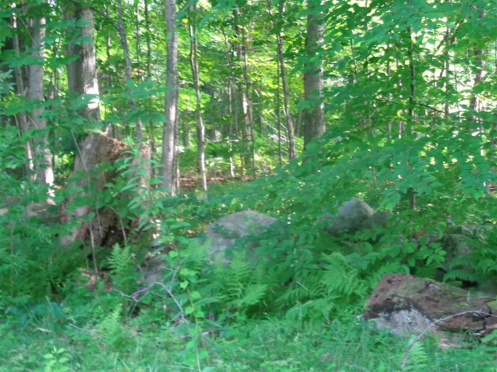 38 Old Center Harbor Road Meredith NH 03252-6408