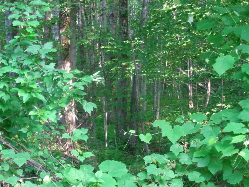 38 Old Center Harbor Road Meredith NH 03252-6408