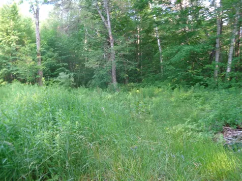 38 Old Center Harbor Road Meredith NH 03252-6408