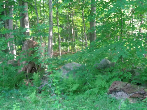 38 Old Center Harbor Road Meredith NH 03252-6408