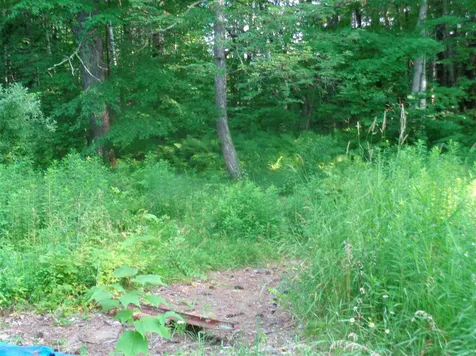38 Old Center Harbor Road Meredith NH 03252-6408