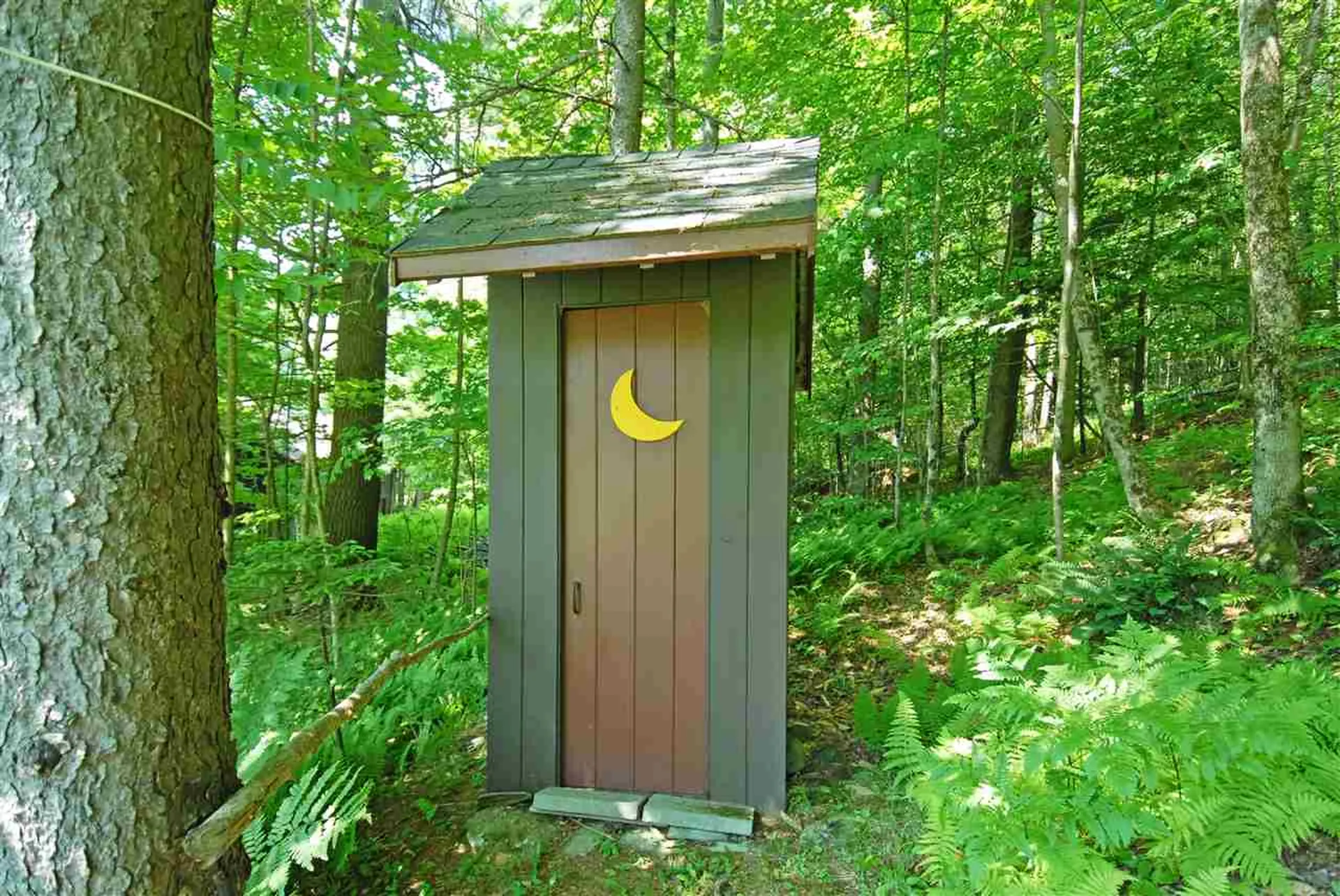 768 Millen Pond Road Washington NH 03280