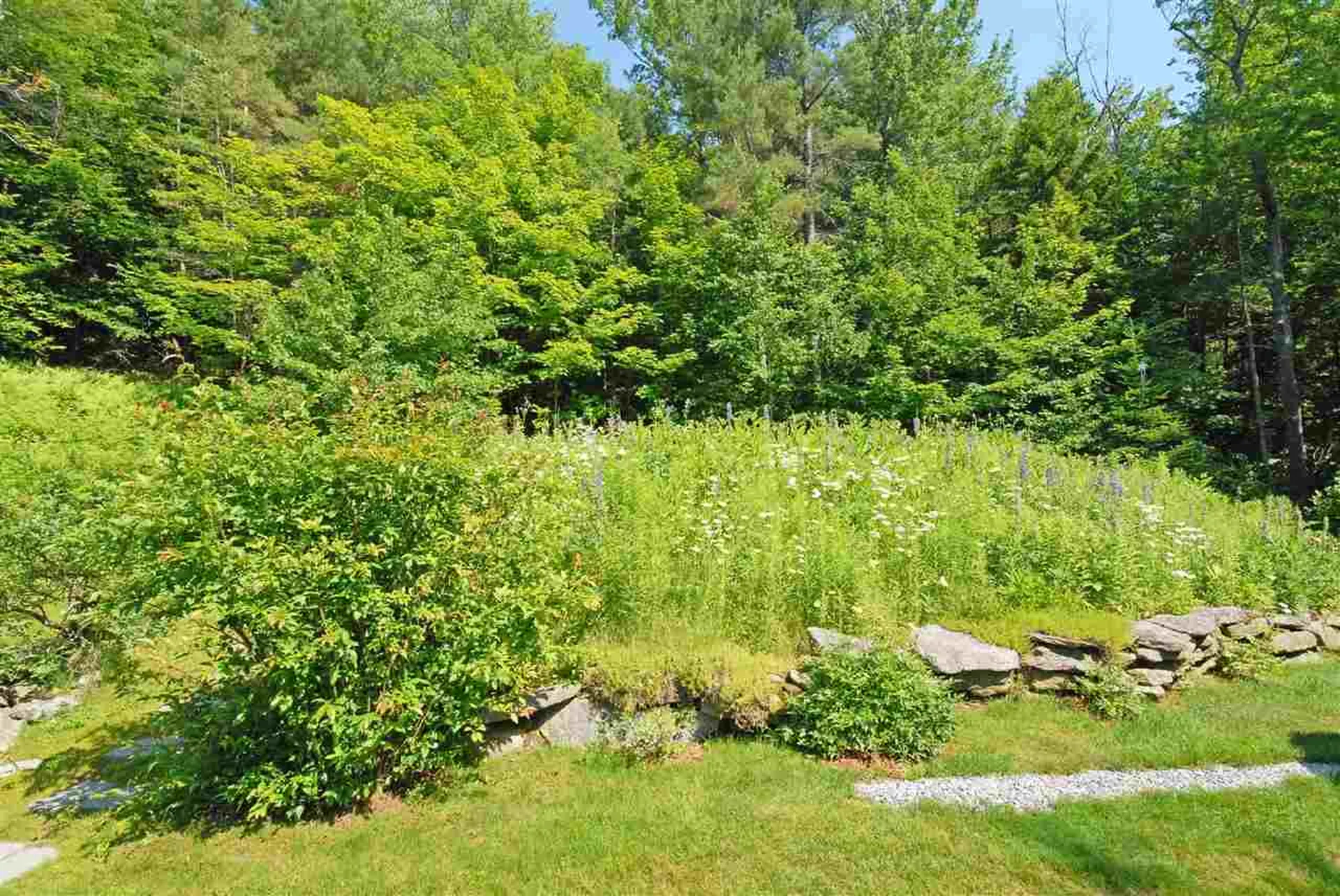 768 Millen Pond Road Washington NH 03280