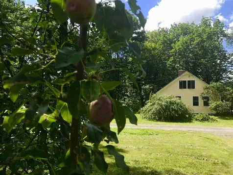 453 Washington Road Williamstown VT 05679