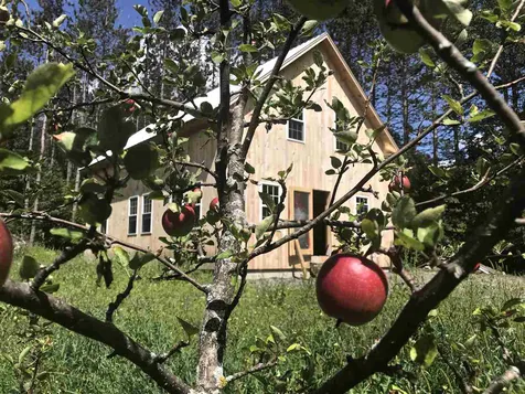453 Washington Road Williamstown VT 05679