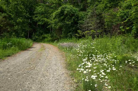 130 Sunrise Lane Dummerston VT 05301