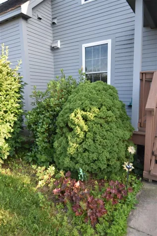 6B Country Commons Vergennes VT 05491