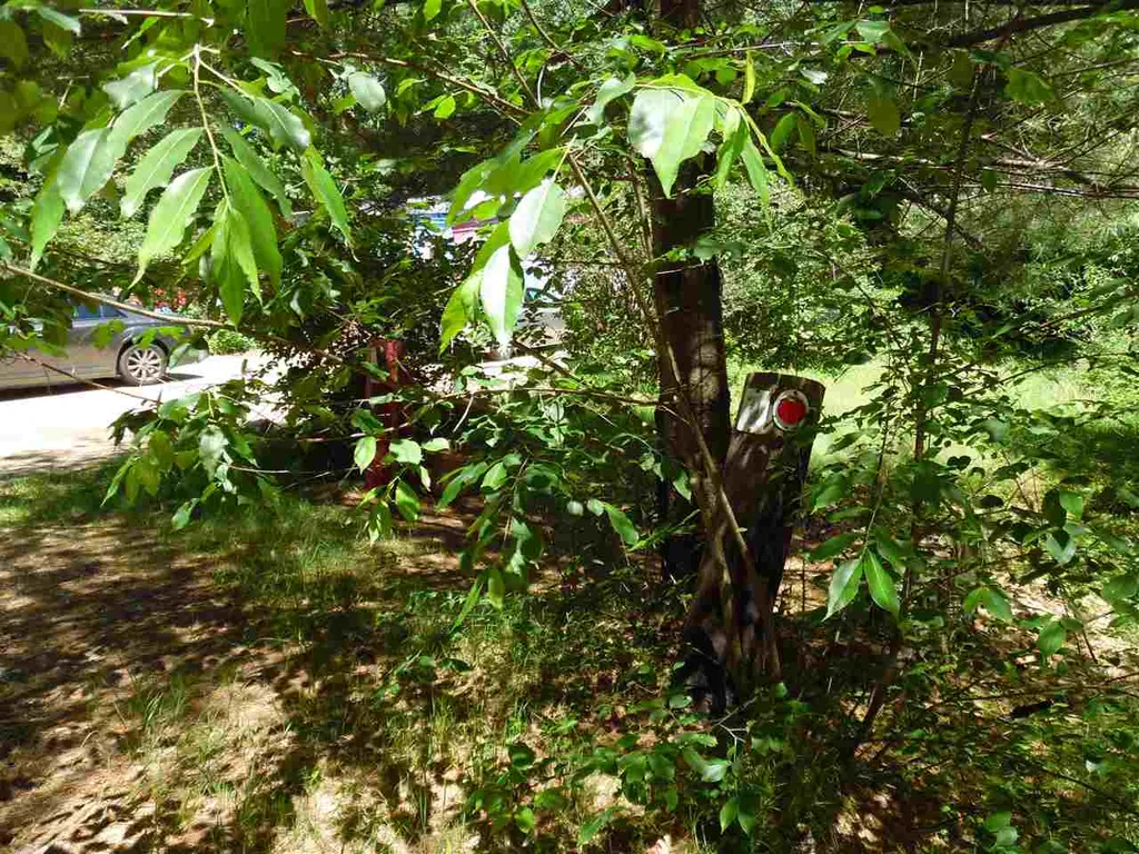 1 Ridgewood Drive Rochester NH 03839
