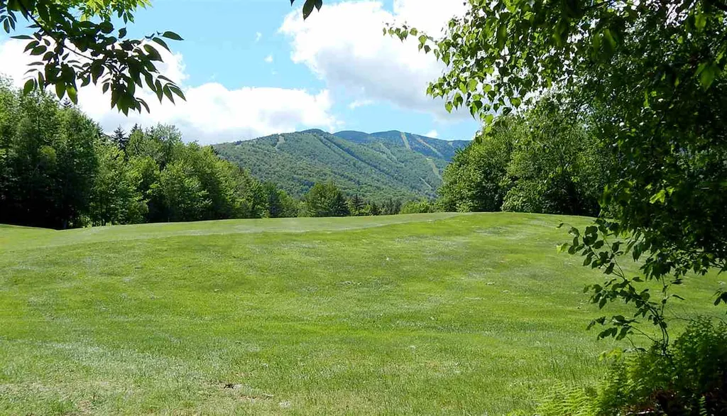 50 Norwegian Lane Warren VT 05674