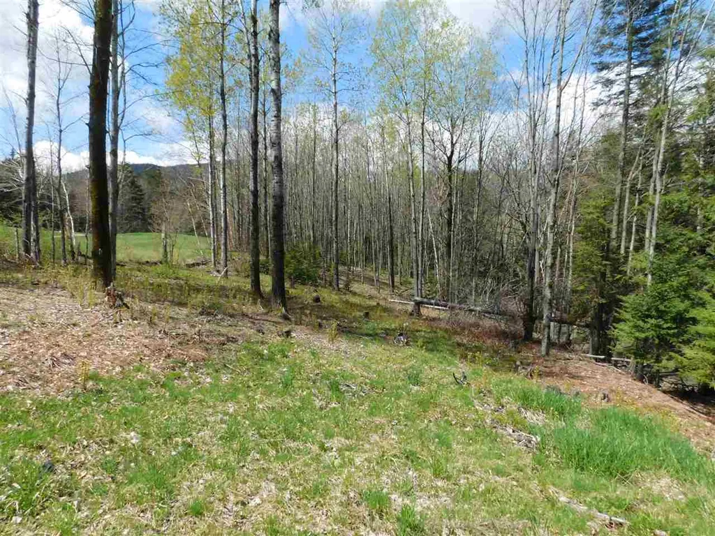 50 Norwegian Lane Warren VT 05674