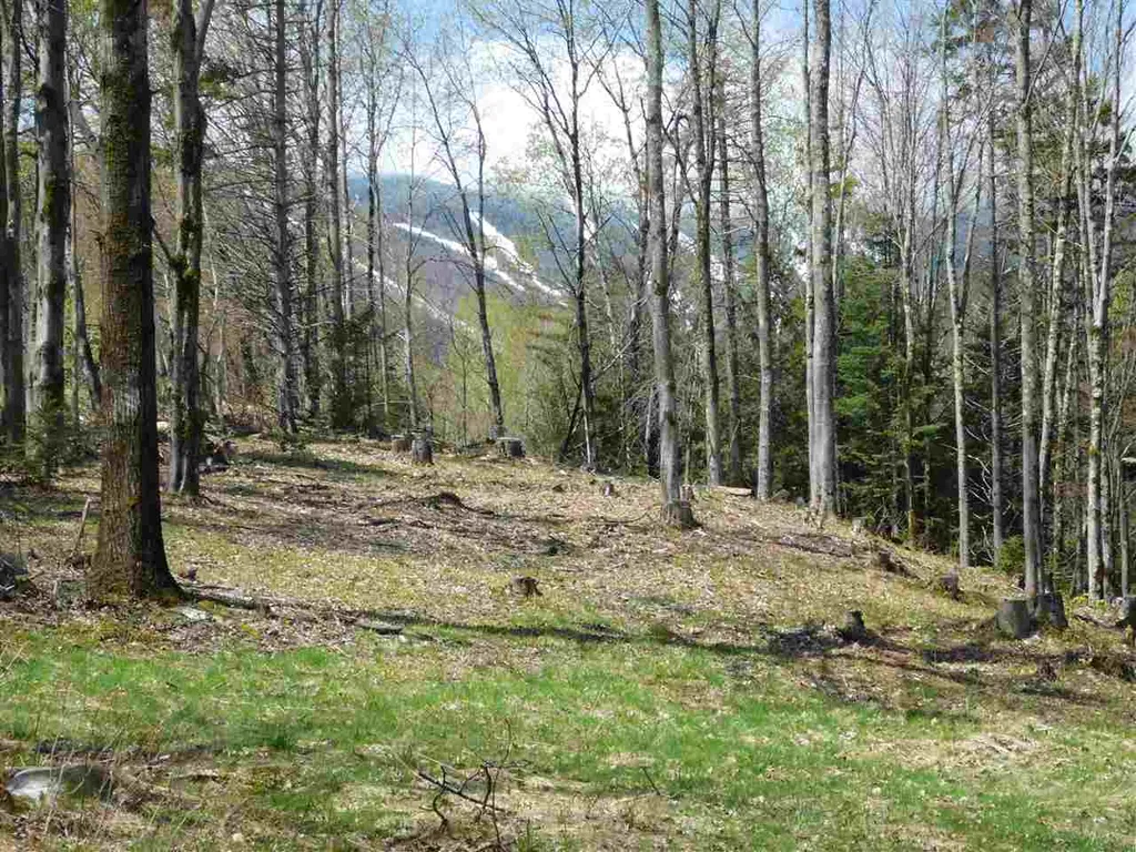 50 Norwegian Lane Warren VT 05674