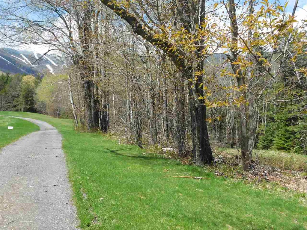 50 Norwegian Lane Warren VT 05674