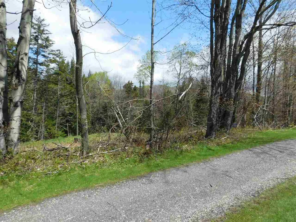 50 Norwegian Lane Warren VT 05674