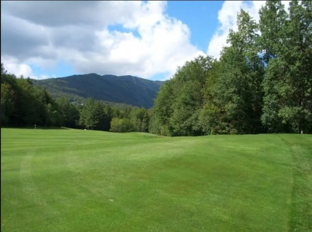 50 Norwegian Lane Warren VT 05674