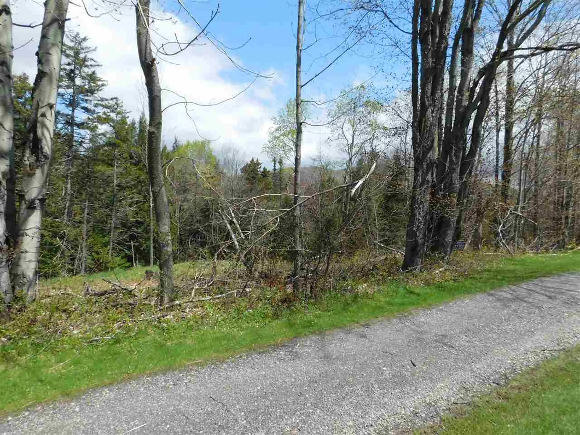 50 Norwegian Lane Warren VT 05674