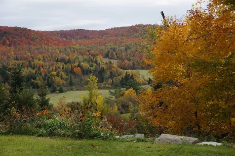 81 Creek Road Irasburg VT 05845