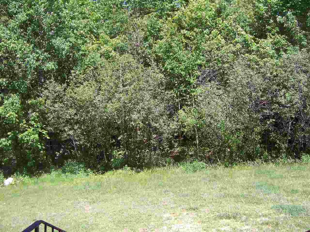 88 Fiske Road Northfield NH 03276