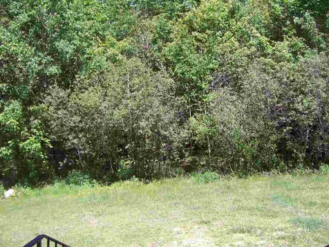 88 Fiske Road Northfield NH 03276