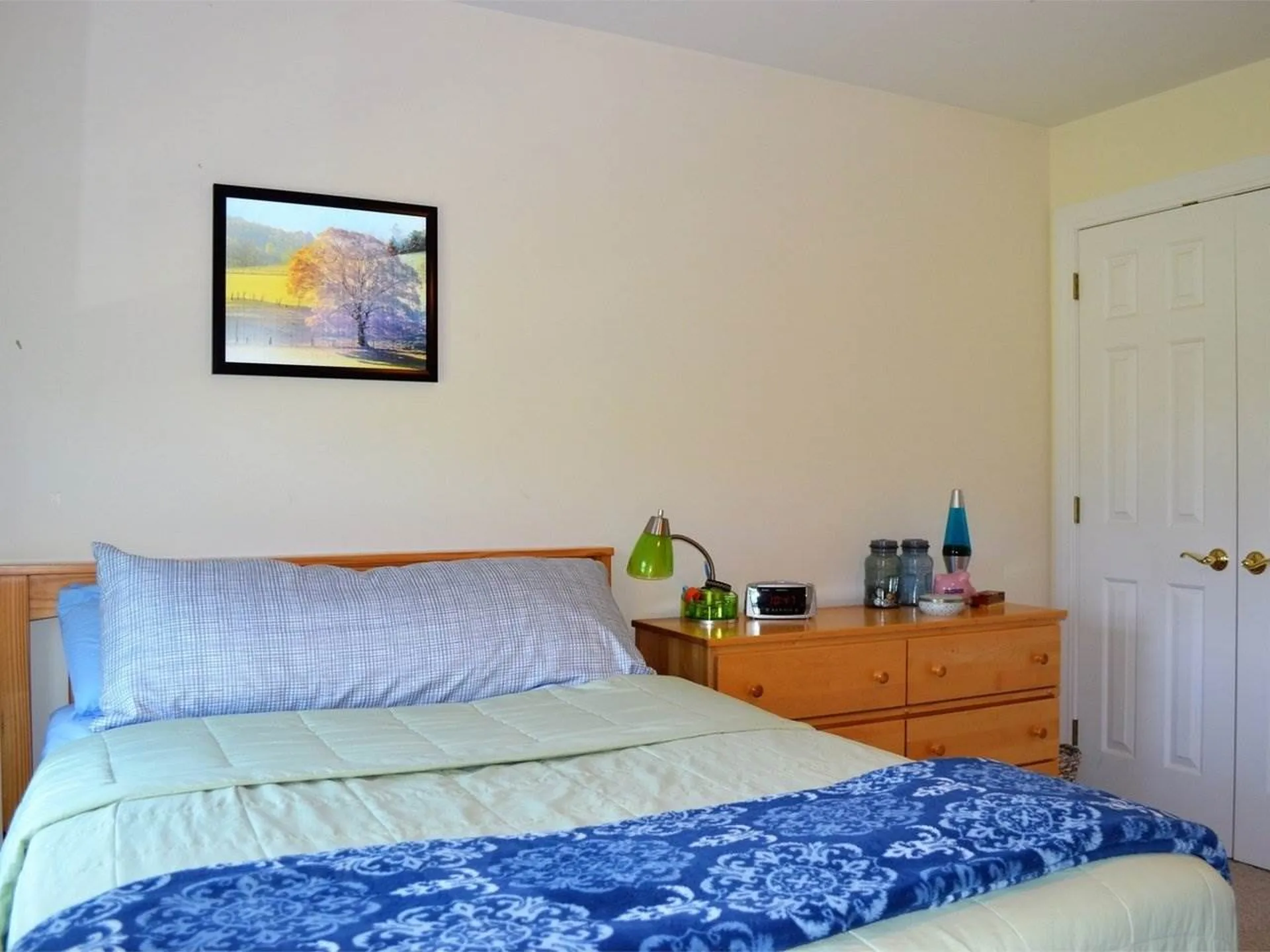 118 Mount Philo Road Charlotte VT 05445